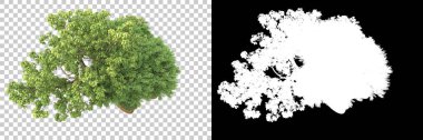 Arka planda maskeyle izole edilmiş ağaçlar. 3d görüntüleme - illüstrasyon
