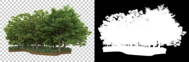 Arka planda maskeyle izole edilmiş ağaçlar. 3d görüntüleme - illüstrasyon