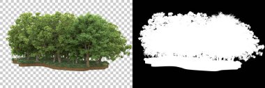 Arka planda maskeyle izole edilmiş ağaçlar. 3d görüntüleme - illüstrasyon