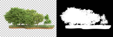 Arka planda maskeyle izole edilmiş ağaçlar. 3d görüntüleme - illüstrasyon