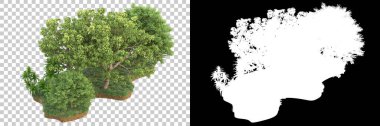Arka planda maskeyle izole edilmiş ağaçlar. 3d görüntüleme - illüstrasyon
