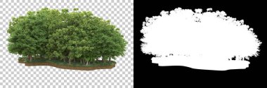 Arka planda maskeyle izole edilmiş ağaçlar. 3d görüntüleme - illüstrasyon