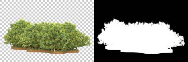 Arka planda maskeyle izole edilmiş ağaçlar. 3d görüntüleme - illüstrasyon