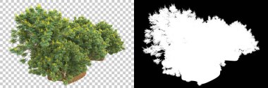 Arka planda maskeyle izole edilmiş ağaçlar. 3d görüntüleme - illüstrasyon