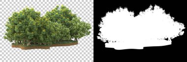 Arka planda maskeyle izole edilmiş ağaçlar. 3d görüntüleme - illüstrasyon