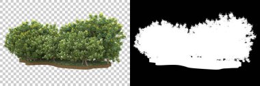 Arka planda maskeyle izole edilmiş ağaçlar. 3d görüntüleme - illüstrasyon
