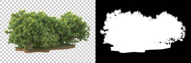Arka planda maskeyle izole edilmiş ağaçlar. 3d görüntüleme - illüstrasyon