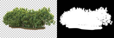 Arka planda maskeyle izole edilmiş ağaçlar. 3d görüntüleme - illüstrasyon