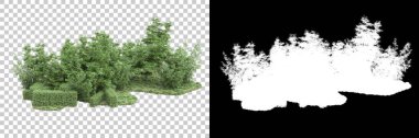 Orman arka planda maskeyle izole edilmiş. 3d görüntüleme - illüstrasyon