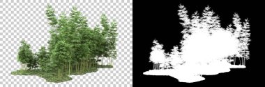 Orman arka planda maskeyle izole edilmiş. 3d görüntüleme - illüstrasyon