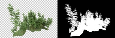 Arka planda maskeyle izole edilmiş ağaçlar. 3d görüntüleme - illüstrasyon