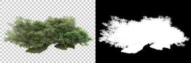 Arka planda maskeyle izole edilmiş ağaçlar. 3d görüntüleme - illüstrasyon
