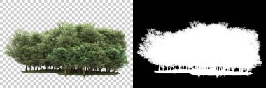 Arka planda maskeyle izole edilmiş ağaçlar. 3d görüntüleme - illüstrasyon