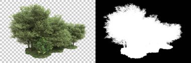 Arka planda maskeyle izole edilmiş ağaçlar. 3d görüntüleme - illüstrasyon