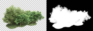 Arka planda maskeyle izole edilmiş ağaçlar. 3d görüntüleme - illüstrasyon