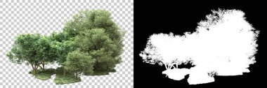 Arka planda maskeyle izole edilmiş ağaçlar. 3d görüntüleme - illüstrasyon