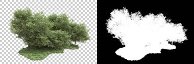 Arka planda maskeyle izole edilmiş ağaçlar. 3d görüntüleme - illüstrasyon