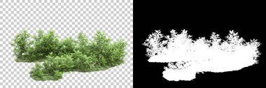 Arka planda maskeyle izole edilmiş ağaçlar. 3d görüntüleme - illüstrasyon