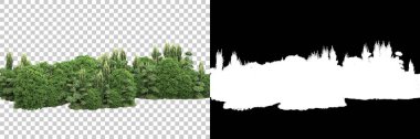 Arka planda maskeyle izole edilmiş ağaçlar. 3d görüntüleme - illüstrasyon