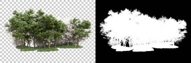 Arka planda maskeyle izole edilmiş ağaçlar. 3d görüntüleme - illüstrasyon