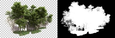 Arka planda maskeyle izole edilmiş ağaçlar. 3d görüntüleme - illüstrasyon