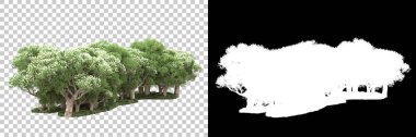 Arka planda maskeyle izole edilmiş ağaçlar. 3d görüntüleme - illüstrasyon