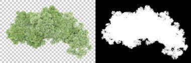 Arka planda maskeyle izole edilmiş ağaçlar. 3d görüntüleme - illüstrasyon