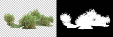 Arka planda maskeyle izole edilmiş ağaçlar. 3d görüntüleme - illüstrasyon