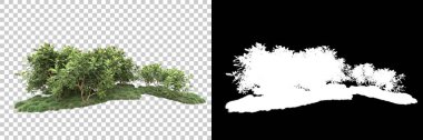Arka planda maskeyle izole edilmiş ağaçlar. 3d görüntüleme - illüstrasyon