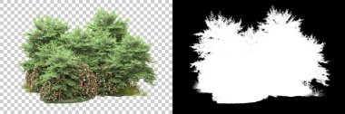 Arka planda maskeyle izole edilmiş ağaçlar. 3d görüntüleme - illüstrasyon