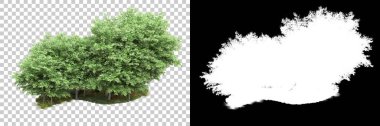 Arka planda maskeyle izole edilmiş ağaçlar. 3d görüntüleme - illüstrasyon