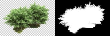 Arka planda maskeyle izole edilmiş ağaçlar. 3d görüntüleme - illüstrasyon