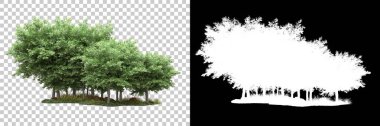 Arka planda maskeyle izole edilmiş ağaçlar. 3d görüntüleme - illüstrasyon