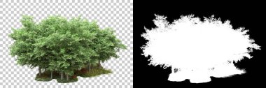 Arka planda maskeyle izole edilmiş ağaçlar. 3d görüntüleme - illüstrasyon