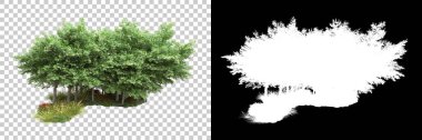 Arka planda maskeyle izole edilmiş ağaçlar. 3d görüntüleme - illüstrasyon