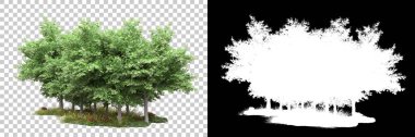 Arka planda maskeyle izole edilmiş ağaçlar. 3d görüntüleme - illüstrasyon