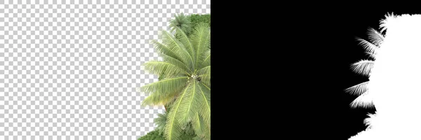 Nature Flora Concept Realistic Trees Isolated White Background Copy Space — Stock Photo, Image