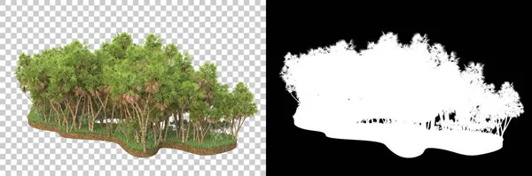 Luontokasvien Käsite Realistinen Puut Eristetty Valkoisella Taustalla Kopioida Tilaa — kuvapankkivalokuva