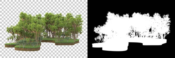 自然のフローラの概念 コピースペースのための白い背景で隔離された現実的な木 — ストック写真