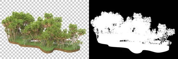 Luontokasvien Käsite Realistinen Puut Eristetty Valkoisella Taustalla Kopioida Tilaa — kuvapankkivalokuva