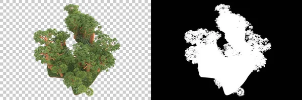 Natura Flora Koncepcja Realistyczne Drzewa Odizolowane Białym Tle Dla Miejsca — Zdjęcie stockowe