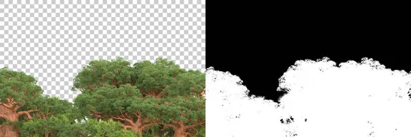 Conceito Flora Natureza Árvores Realistas Isoladas Fundo Branco Para Espaço — Fotografia de Stock