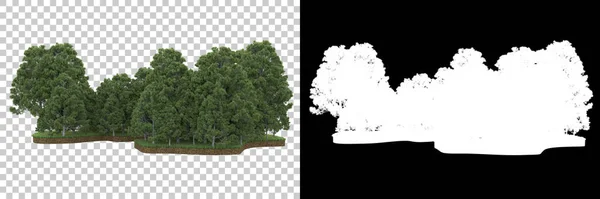 Nature Flora Concept Realistic Trees Isolated White Background Copy Space — Stock Photo, Image