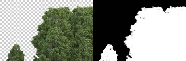 Концепция Природной Флоры Реалистичные Деревья Белом Фоне Копирования Пространства — стоковое фото