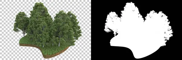 Natur Flora Konzept Realistische Bäume Isoliert Auf Weißem Hintergrund Für — Stockfoto