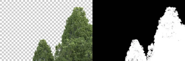 Fotokopi Alanı Için Beyaz Zemin Üzerinde Izole Edilmiş Gerçekçi Ağaçlar — Stok fotoğraf