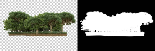 Přírodní Flóra Koncept Realistické Stromy Izolované Bílém Pozadí Pro Kopírování — Stock fotografie