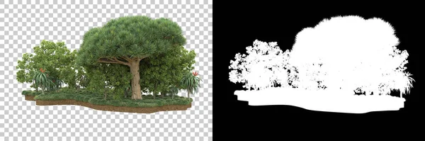 Дерева Ізольовані Фоні Маскою Візуалізація Ілюстрація — стокове фото