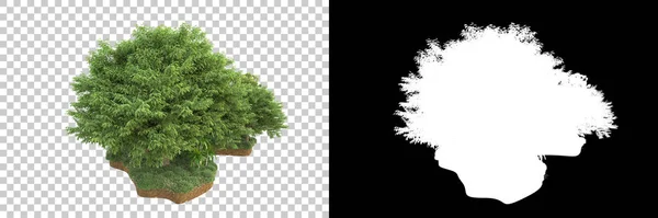 マスクでバックグラウンドで隔離された木 3Dレンダリング イラスト — ストック写真