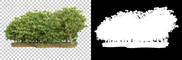 Arbres Isolés Sur Fond Avec Masque Rendu Illustration — Photo